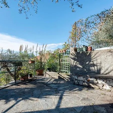 Joivy Vintage Flat With Garden And Parking * Zoagli